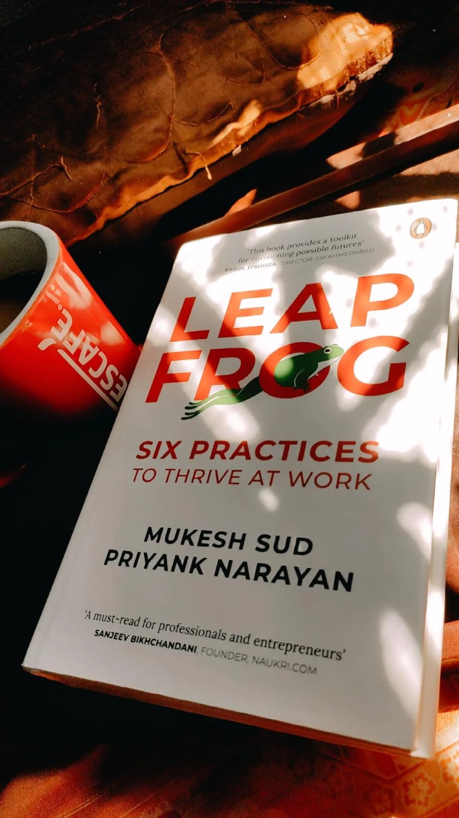 Leap Frog six practices to thrive at work By Mukesh Sud & Priyank Narayan