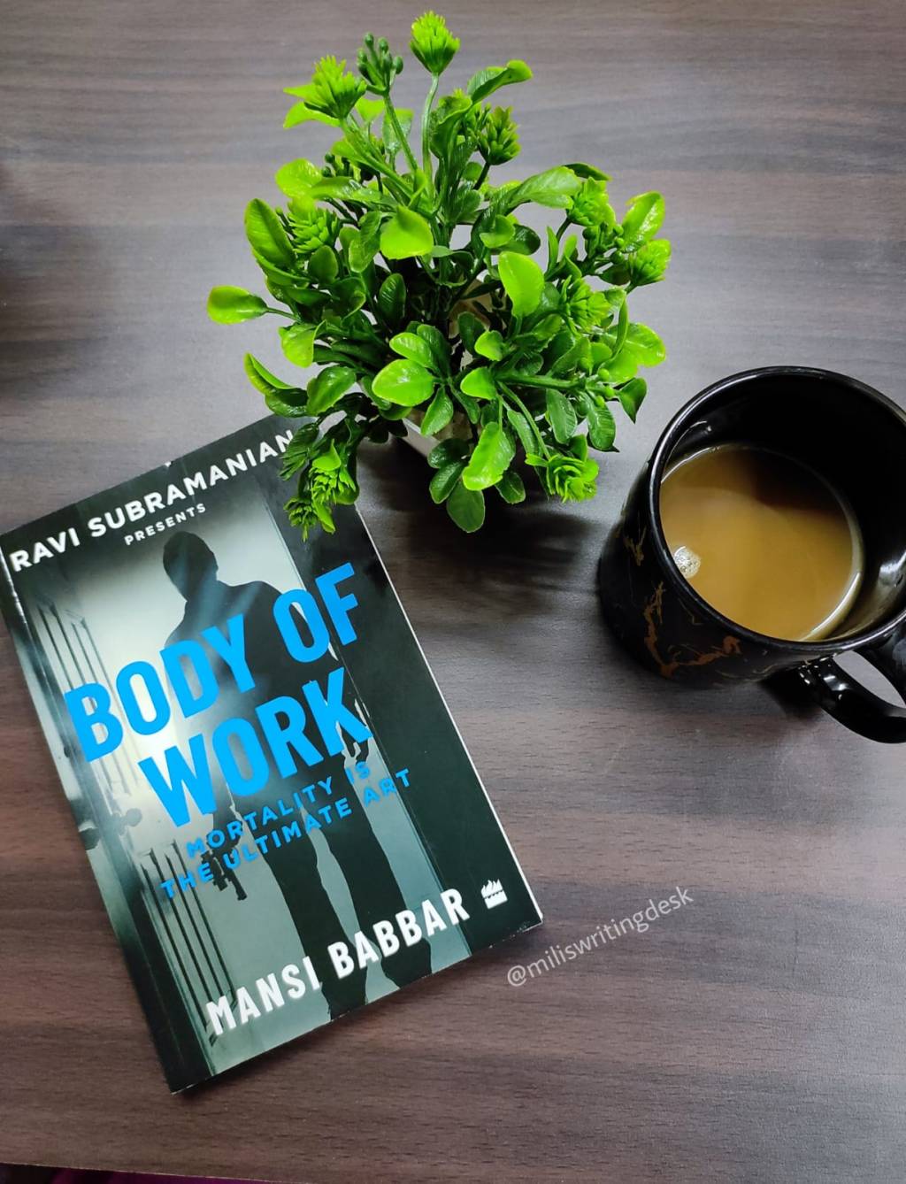 It gives me the vibe of watching a Hollywood horror movie, Brilliant debut by Mansi Babbar: Body of Work – Book Review