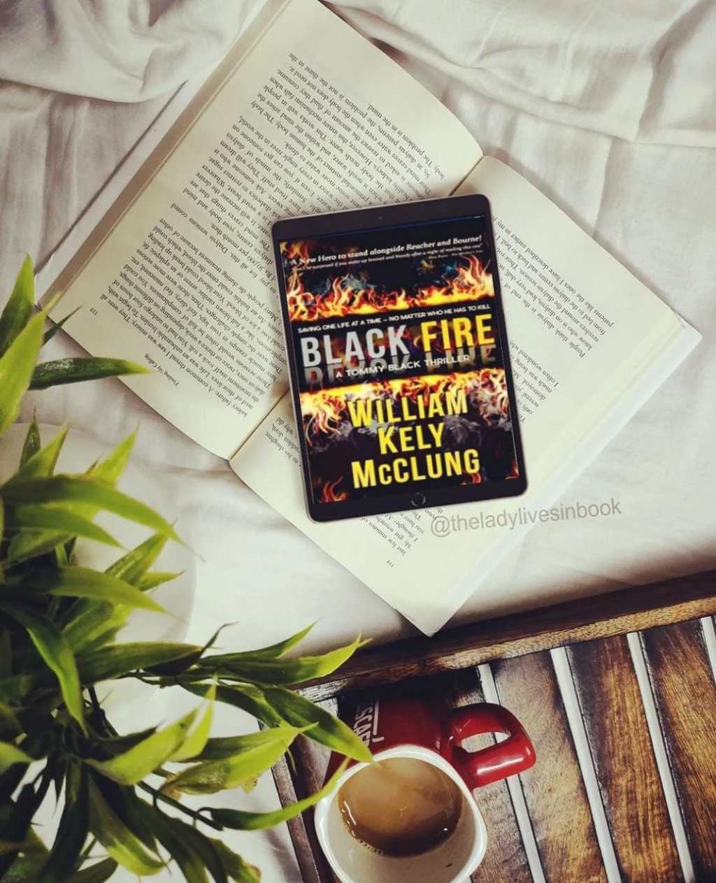 Are you an action movie lover? Here is a supper nail-biting action thriller for your reading apatite: Black Fire by  William McClung – Book Review