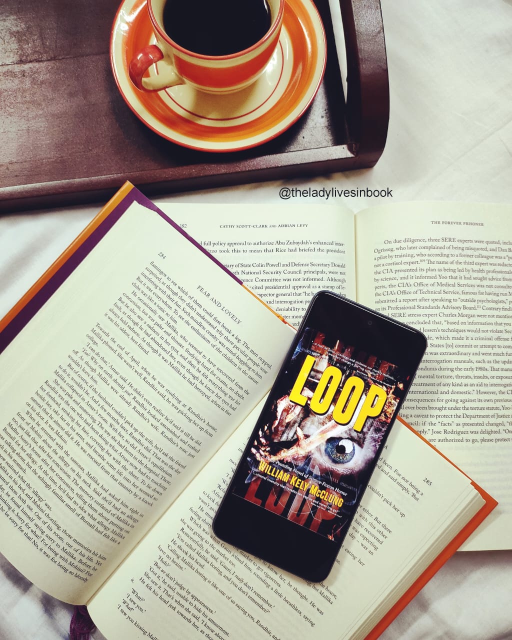 This is the one helluva book that I can’t get enough of it: Loop – Book Review