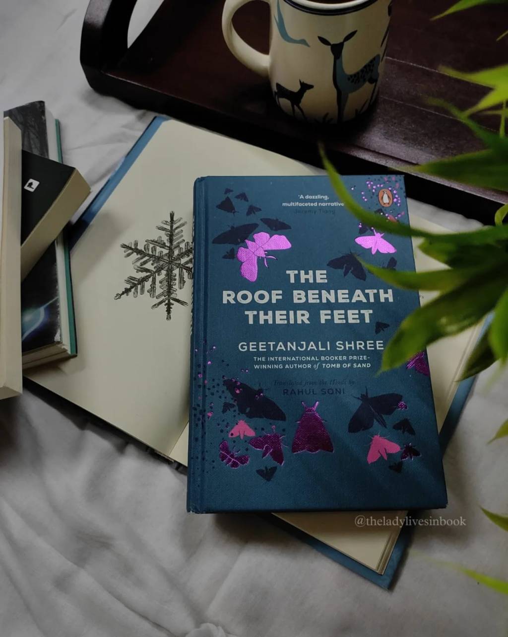 My Third Novel of Geetanjali Shree is Actually a Story About Roof: The Roof Beneath Their Feet – Book Review