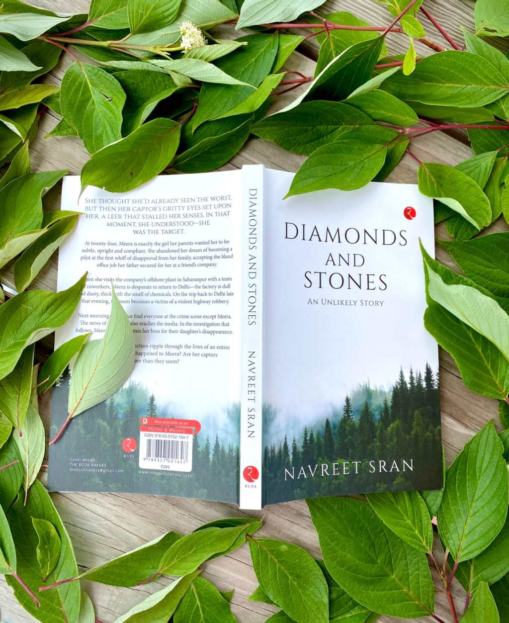 A Very Distinguished, Atmospheric Novel, Not Like Your Daily Novel: Diamonds and Stones – Book Review